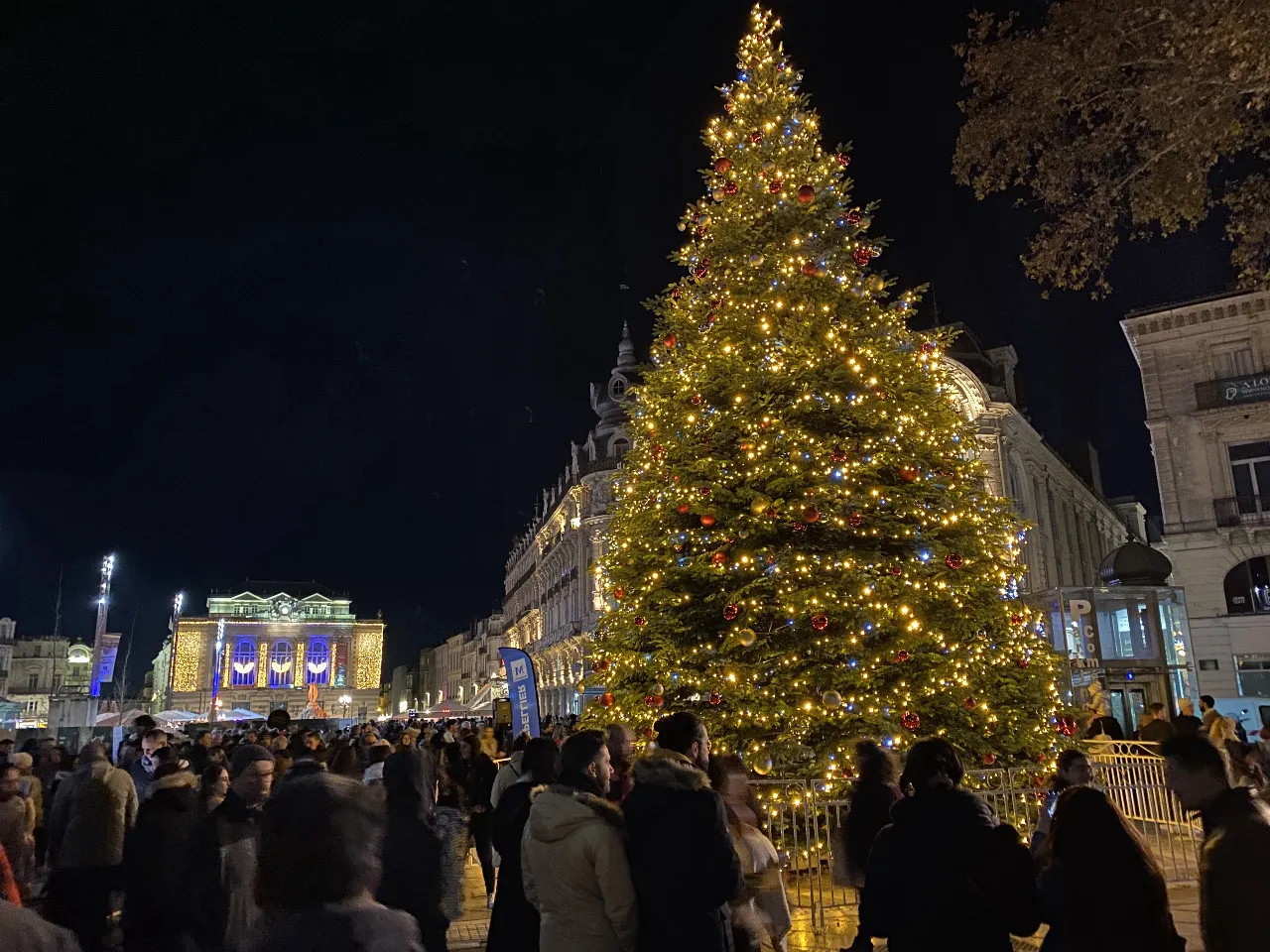 Montpellier : les illuminations de Noël, c'est parti ! | La Gazette