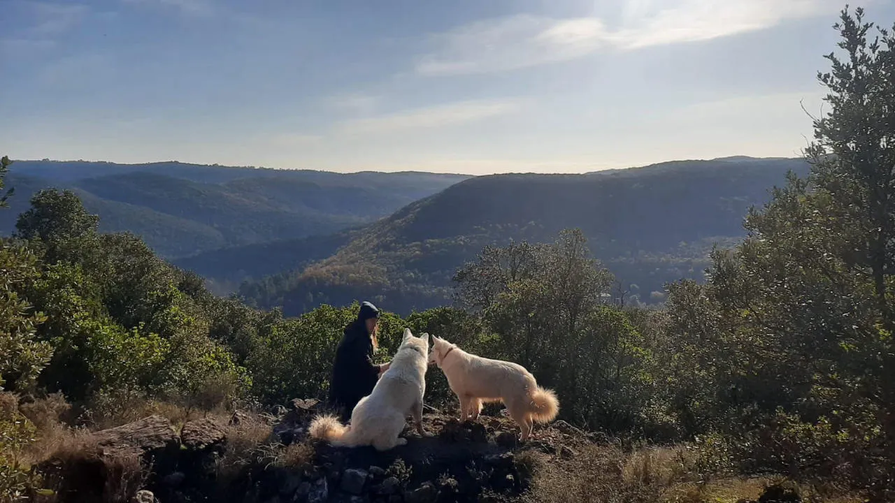 Télé : un reportage de "50 minutes Inside" avec Julien Doré dans les