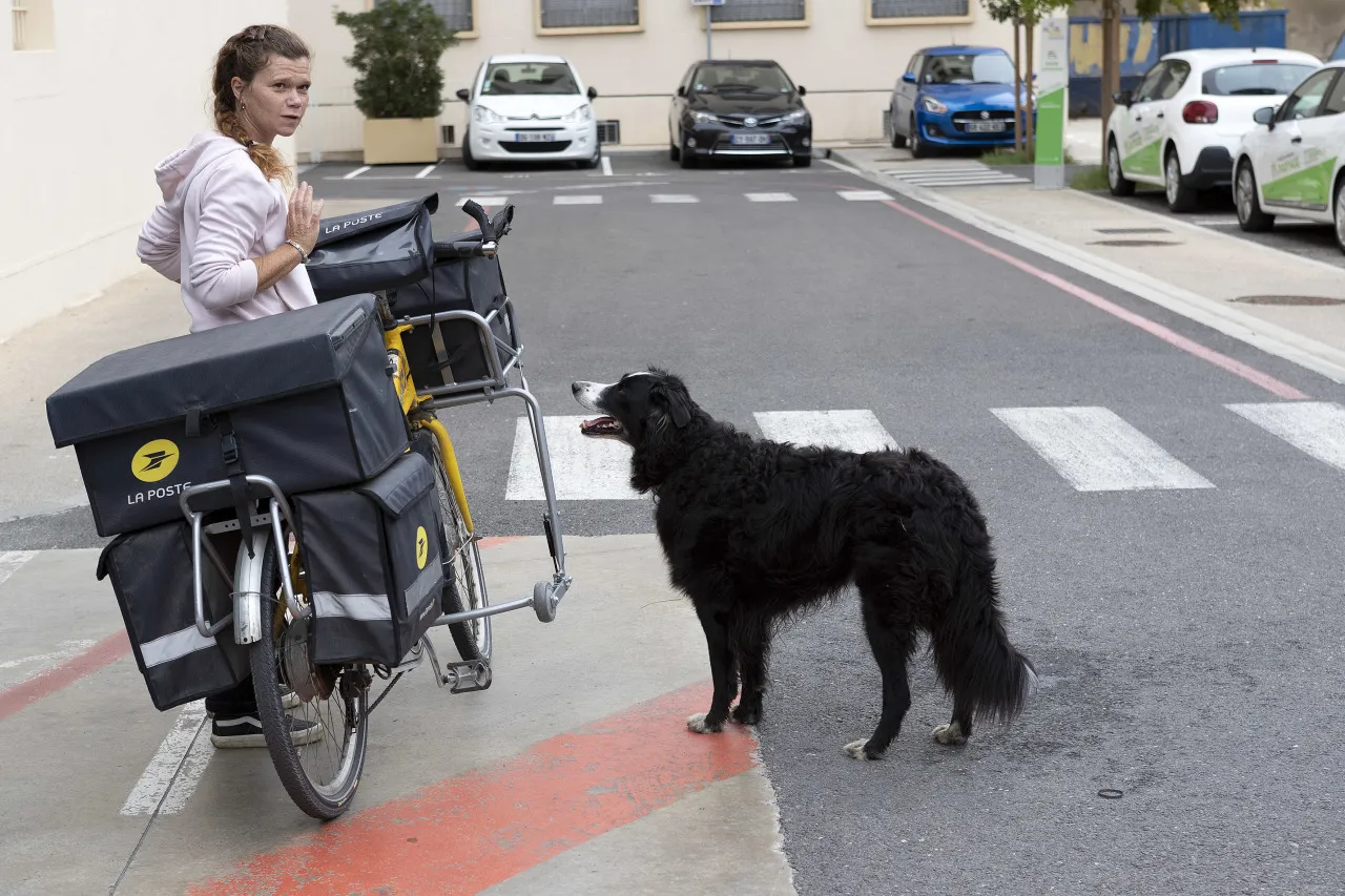 Attaques de chiens : La Poste forme ses facteurs à se défendre | La Gazette
