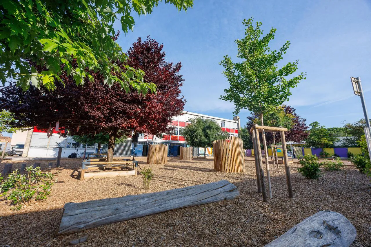 Une nouvelle cour d'école végétalisée dans le quartier de la Paillade ...
