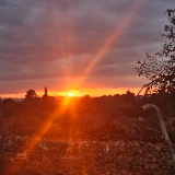 LifeMallorcaParadise